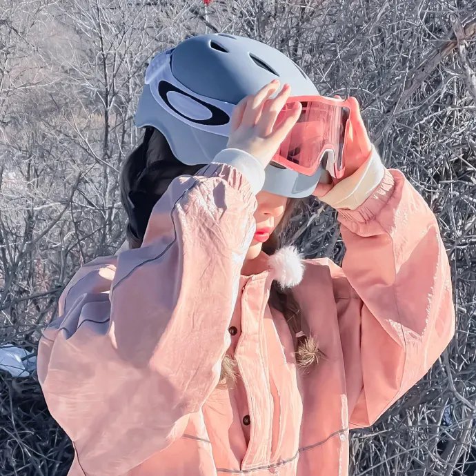 费德勒：最后的12天